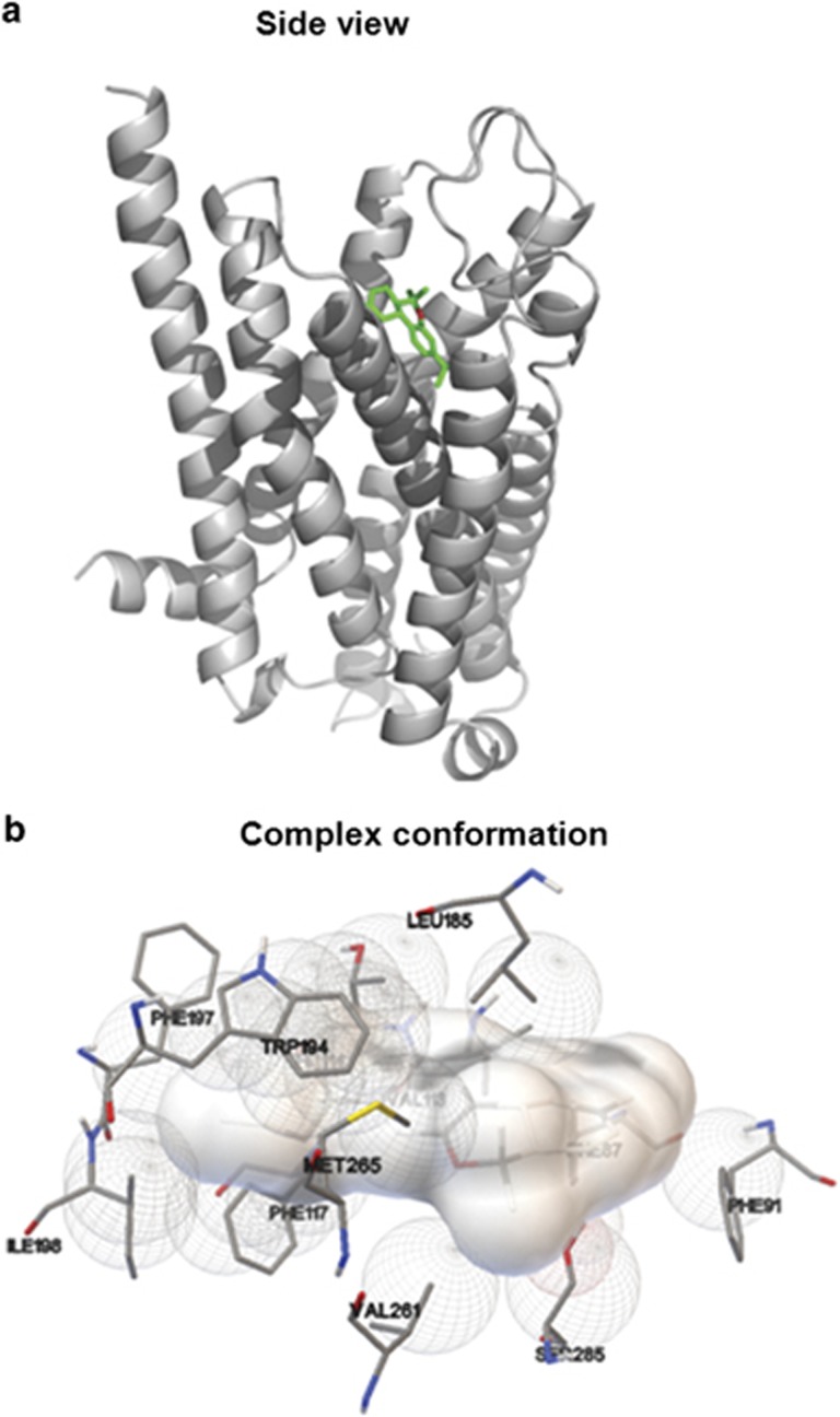 Figure 7