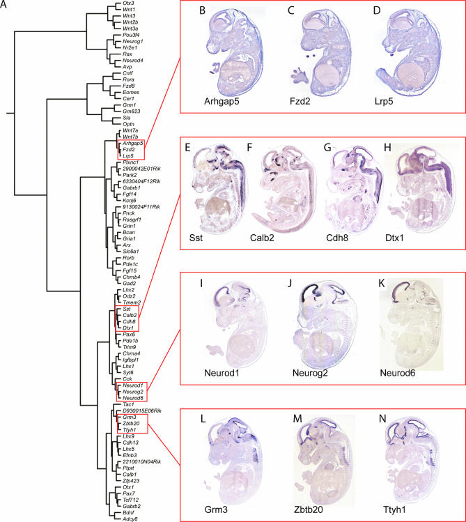 Figure 6