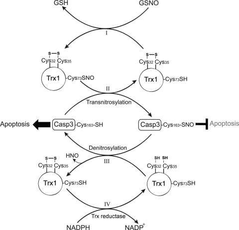 FIG. 12.