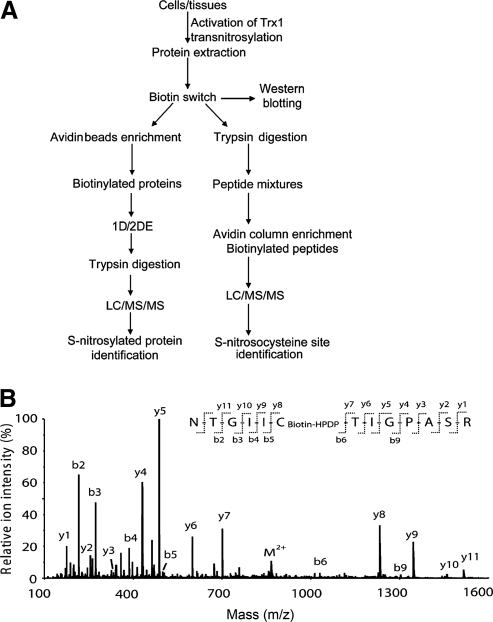 FIG. 16.