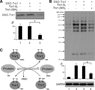 FIG. 13.