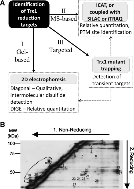 FIG. 5.