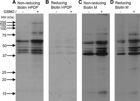 FIG. 17.