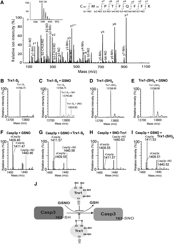 FIG. 11.