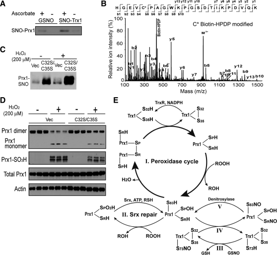 FIG. 14.