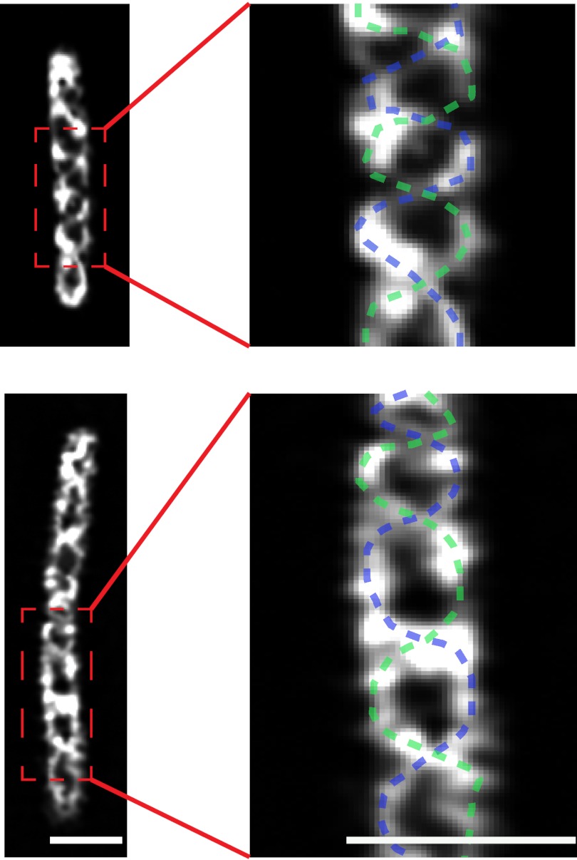 Fig. 2.