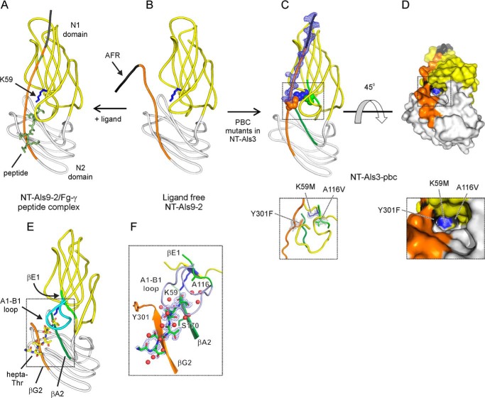 FIGURE 3.