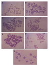 Fig.4