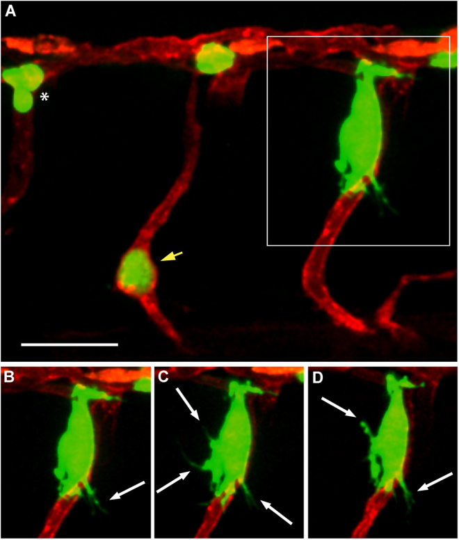 Figure 6