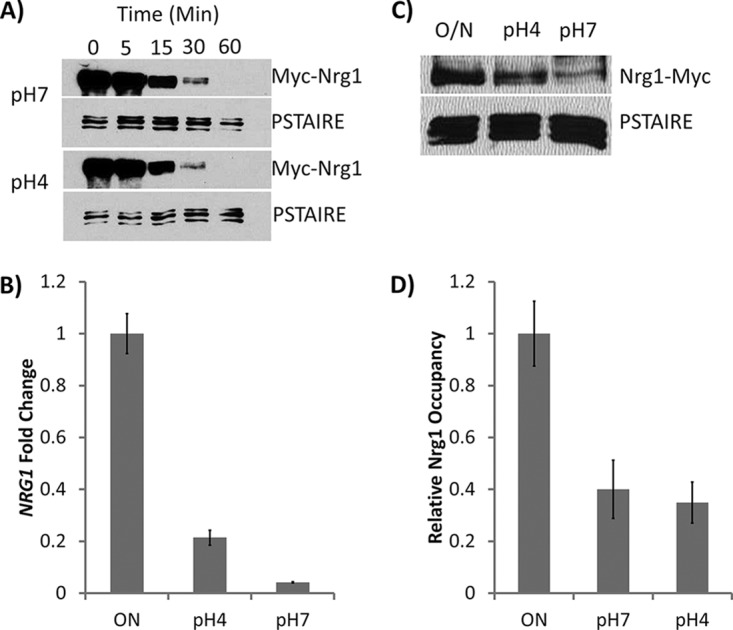 FIG 1