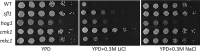 FIG 6