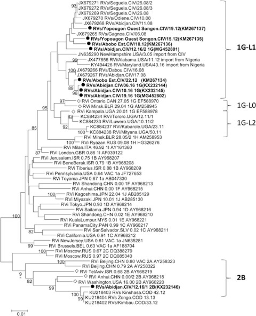 FIGURE 3