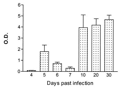 FIG. 1