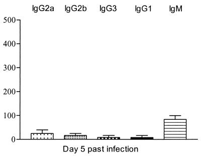 FIG. 6