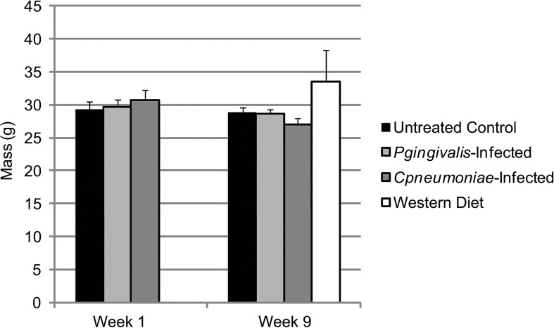 Fig 4