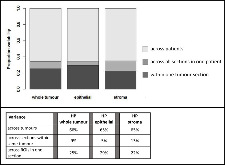 Figure 5