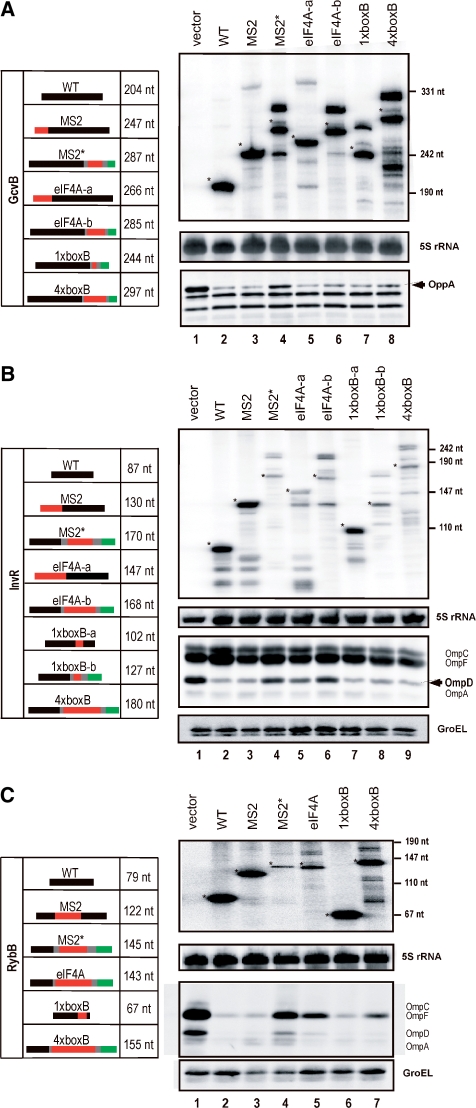 Figure 3.
