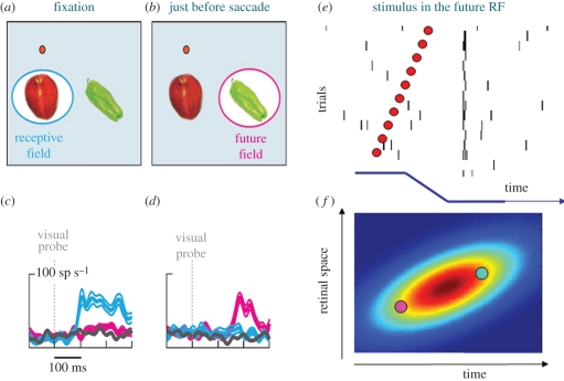 Figure 6.