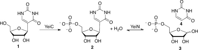 Scheme 1