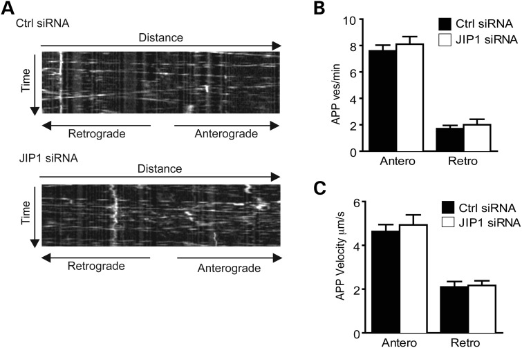 Figure 3.