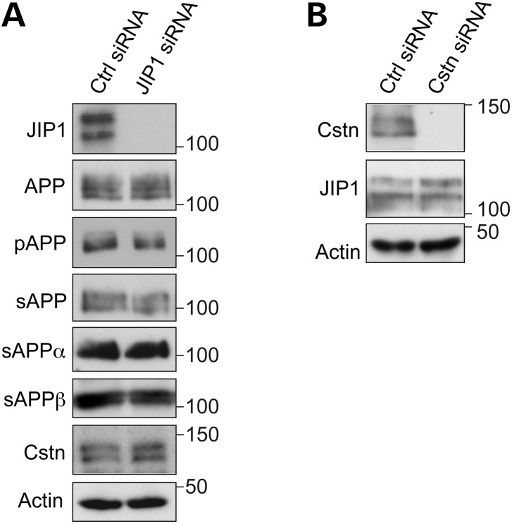 Figure 2.