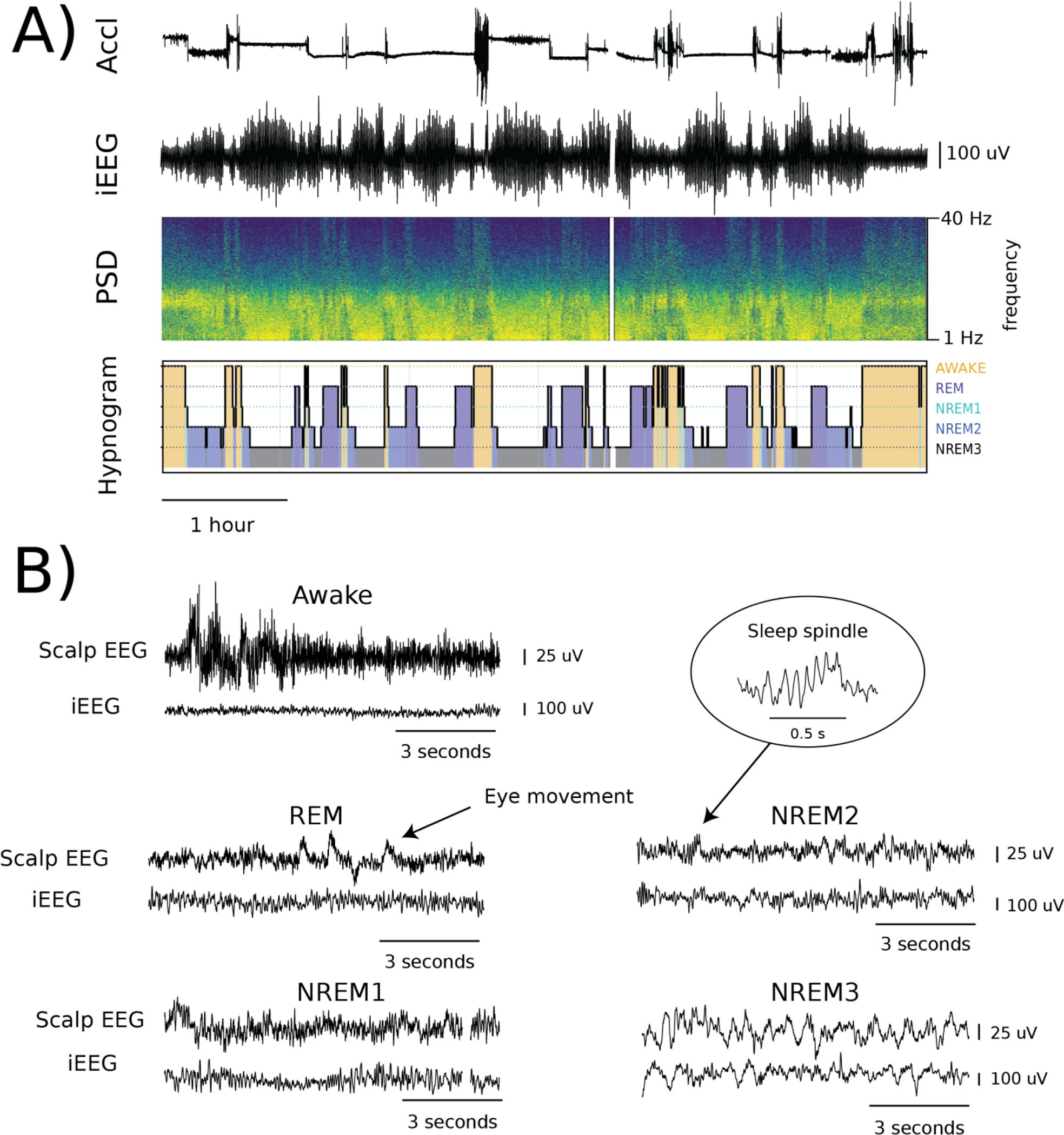 Figure 3.