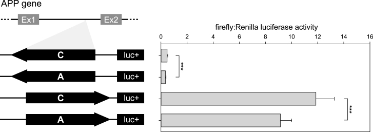 Fig.2