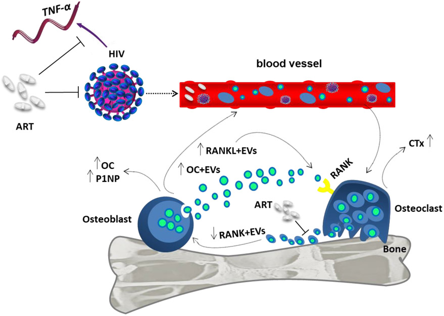 Figure 4: