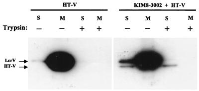 FIG. 6