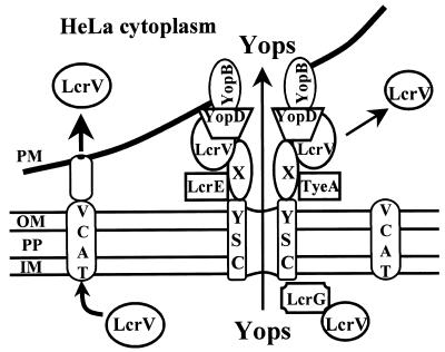 FIG. 9