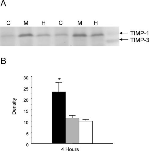 FIG. 5.