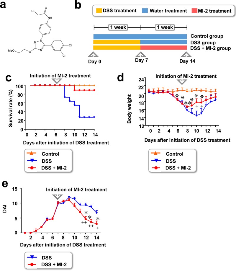 FIG 1