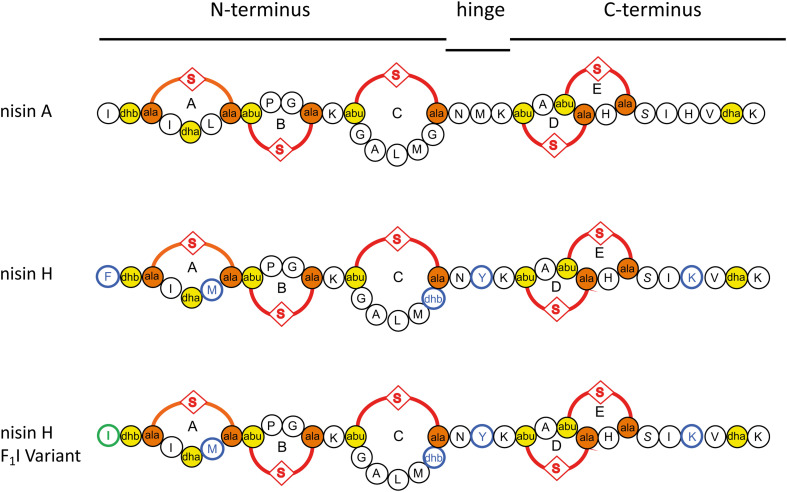 FIGURE 1