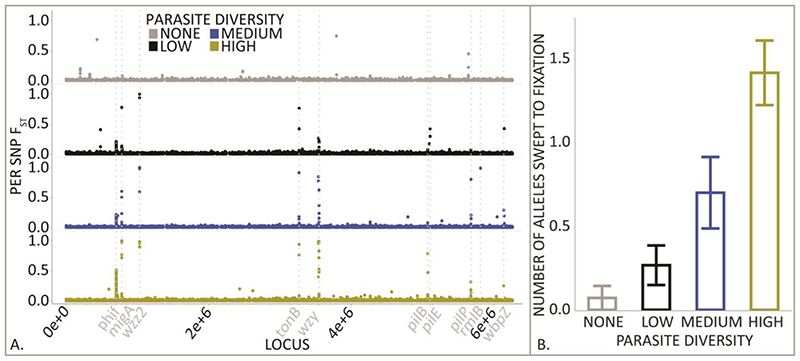 Fig. 4