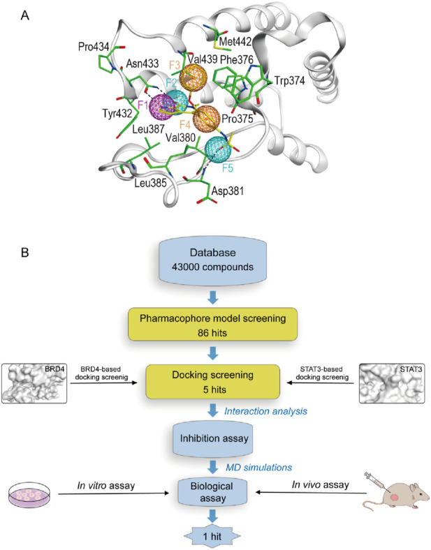 FIGURE 2