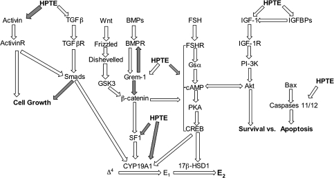 FIG. 5.