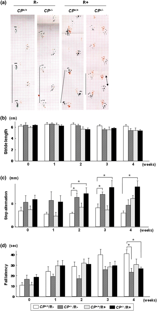 Fig. 2