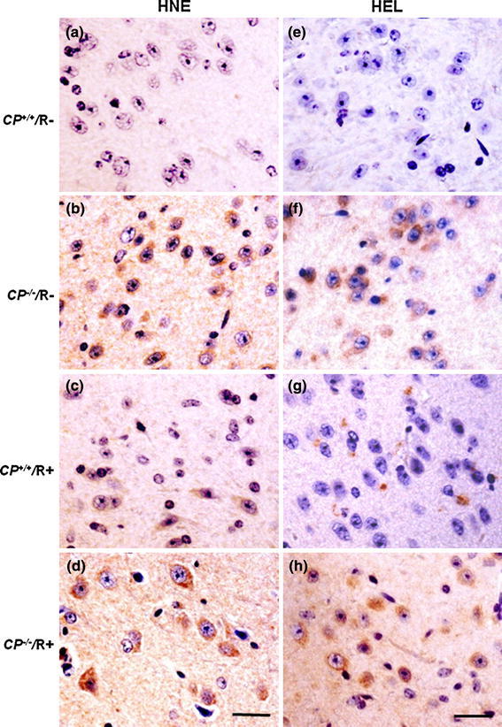 Fig. 4