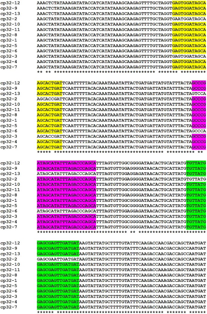 FIGURE 2