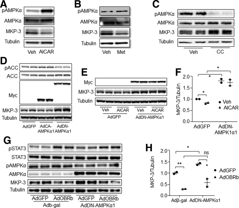 Figure 12