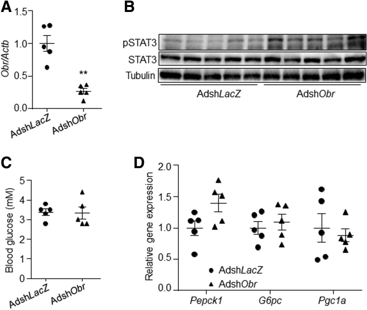 Figure 7