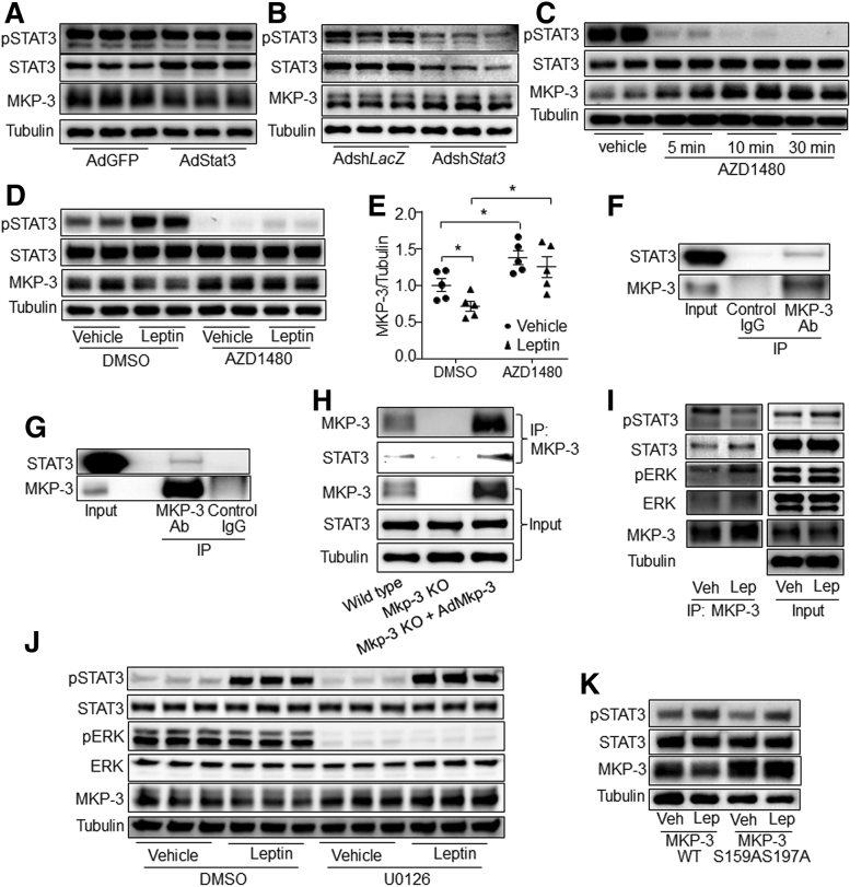 Figure 14