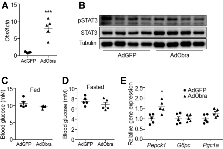 Figure 6