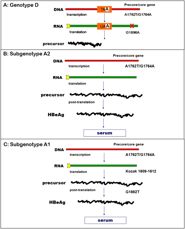 Figure 9