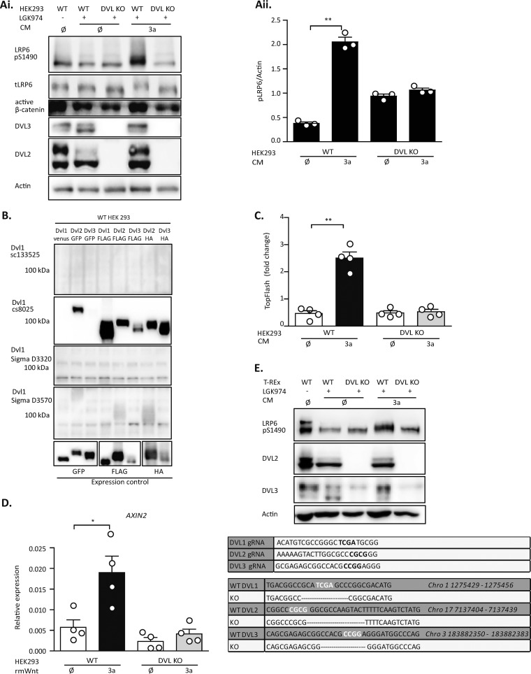 FIG 1