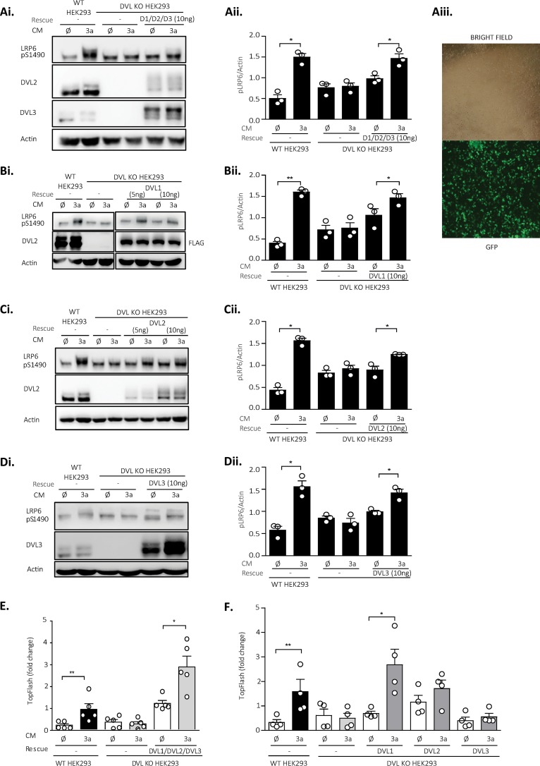 FIG 2