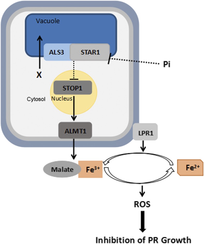 Figure 10.