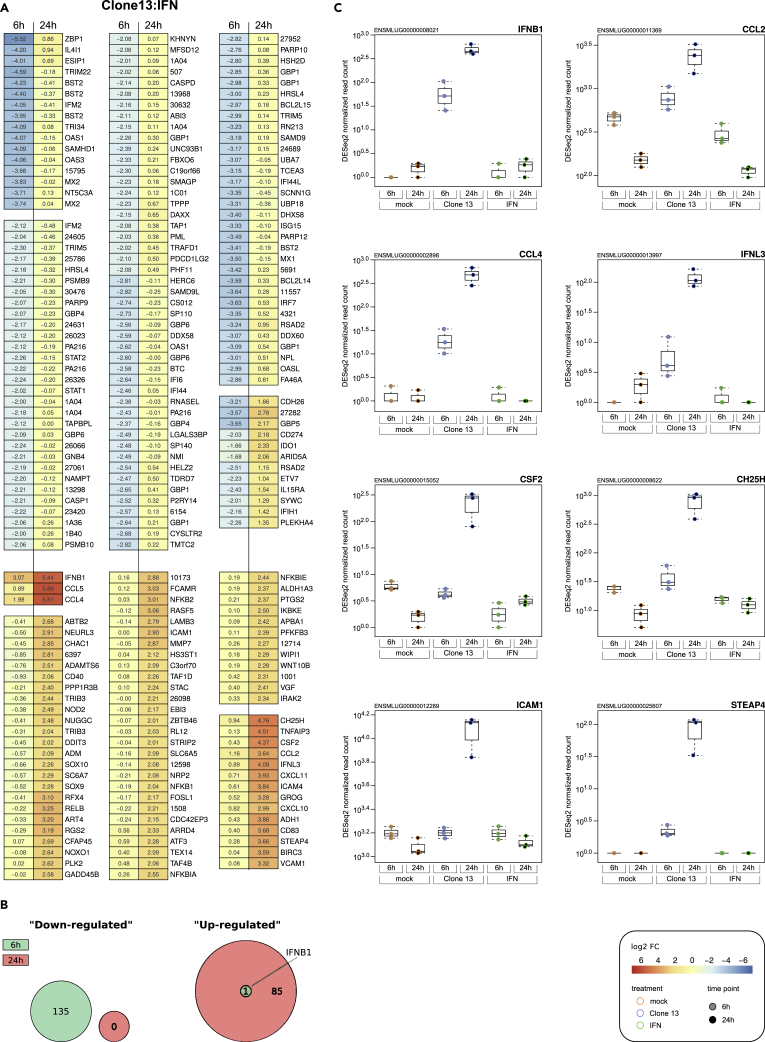 Figure 4