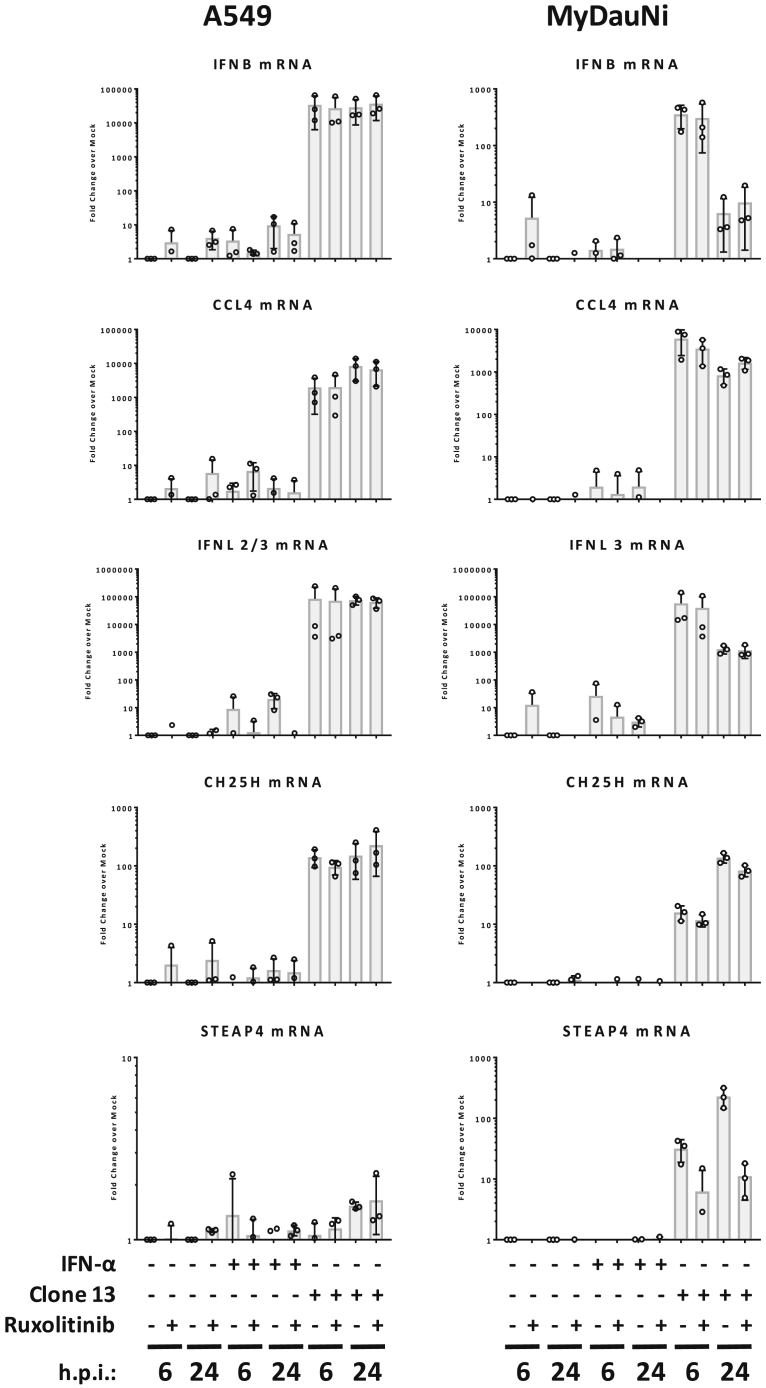 Figure 5