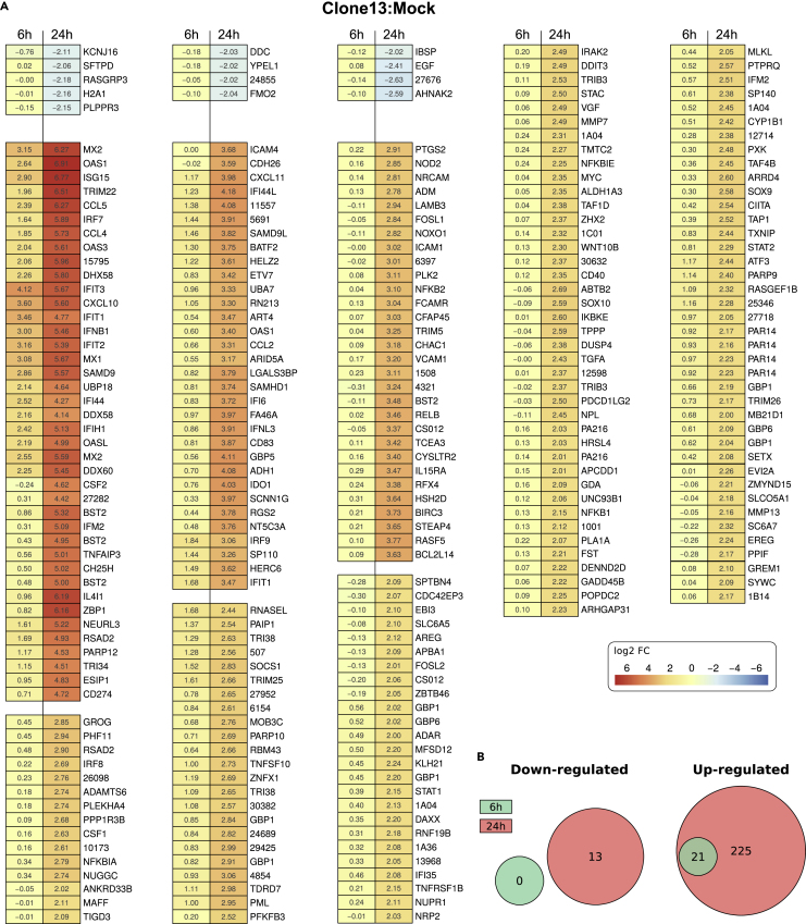 Figure 2